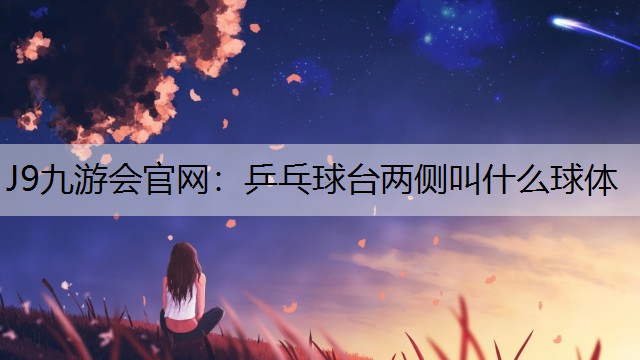 乒乓球台两侧叫什么球体